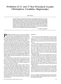Evolution of 13-and 17-Year Periodical Cicadas (Homoptera