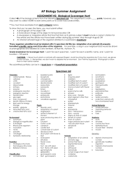 Assignment #2