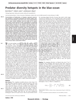 Predator diversity hotspots in the blue ocean