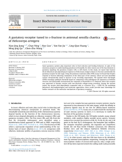 A gustatory receptor tuned to d-fructose in antennal sensilla chaetica