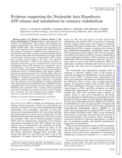 ATP release and metabolism by coronary endothelium