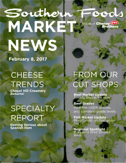 Beef Market Update