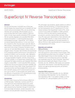 SuperScript IV Reverse Transcriptase