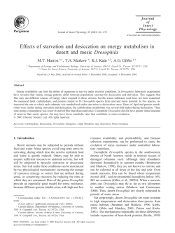 Effects of starvation and desiccation on energy metabolism in desert