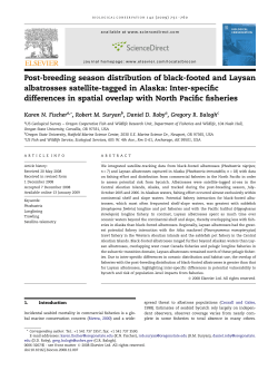 Post-breeding season distribution of black