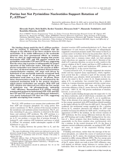 Purine but Not Pyrimidine Nucleotides Support Rotation of F1