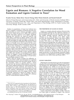 Lignin and Biomass: A Negative Correlation for