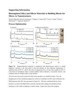 Supporting Information Biotemplated Silica and Silicon Materials as