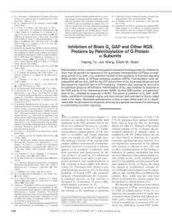 Inhibition of Brain G GAP and Other RGS