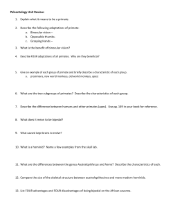 Paleontology Unit Review