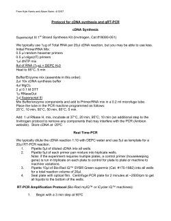 Protocol for cDNA synthesis and qRT