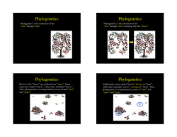 Phylogenetics