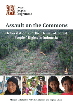 Assault on the Commons - Forest Peoples Programme