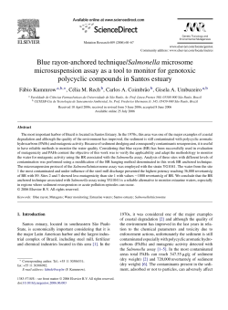 Blue rayon-anchored technique/Salmonella microsome