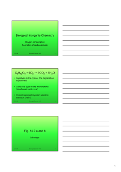 Biological Inorganic Chemistry C6H12O6 + 6O2 &rarr; 6CO 2 + 6H2O