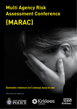 MARAC Information for professionals