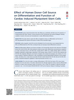 Effect of Human Donor Cell Source on Differentiation and Function