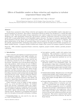 Accepted Paper - Turbulent Reacting Flow Research