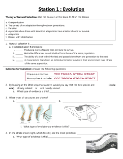 Station 1 : Evolution