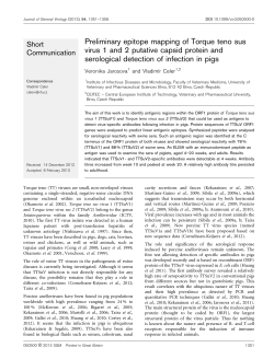 Preliminary epitope mapping of Torque teno sus virus 1 and