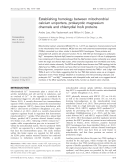 Establishing homology between mitochondrial