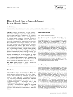 Effects of osmotic stress on polar auxin transport in Emphasis Type