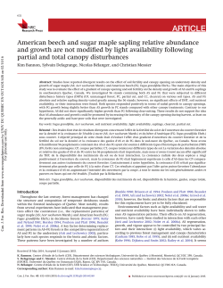 American beech and sugar maple sapling relative abundance and