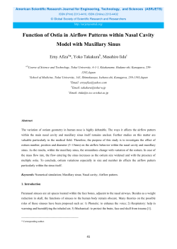 Function of Ostia in Airflow Patterns within Nasal Cavity Model with