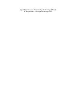 Aspect Perception and Understanding the Meaning of Words in
