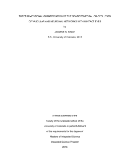 THREE-DIMENSIONAL QUANTIFICATION OF THE