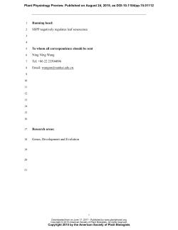 The Protein Phosphatase SSPP Directly Interacts with the