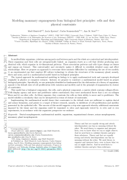 Modeling mammary organogenesis from biological first principles