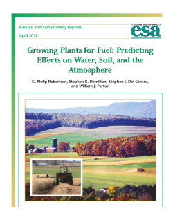 Biofuels Report 4.qxd - Ecological Society of America