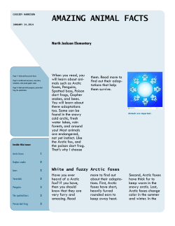 AMAZING ANIMAL FACTS