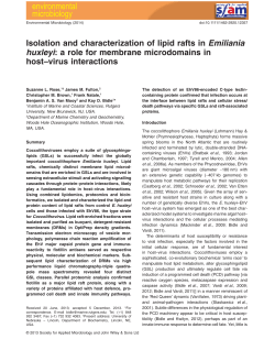 Isolation and characterization of lipid rafts in Emiliania huxleyi: a role
