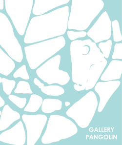here - Gallery Pangolin