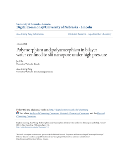 Polymorphism and polyamorphism in bilayer water confined to slit