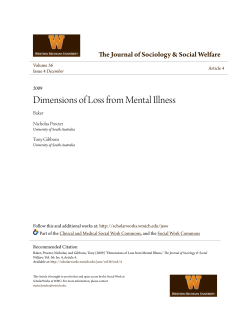 Dimensions of Loss from Mental Illness