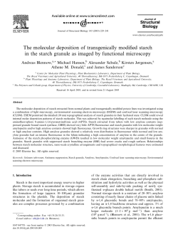 The molecular deposition of transgenically modified starch in the