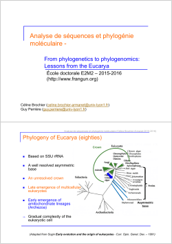 Analyse de s&eacute;quences et phylog&eacute;nie mol&eacute;culaire