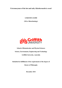 Thesis - Griffith University