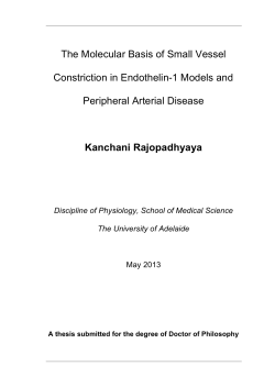 The molecular basis of small vessel constriction in endothelin