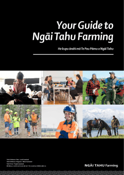 Your Guide to Ngāi Tahu Farming