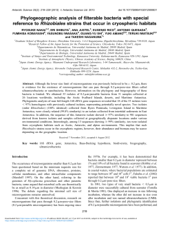 Phylogeographic analysis of filterable bacteria with special