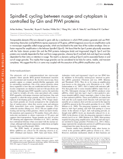 Spindle-E cycling between nuage and cytoplasm is controlled by