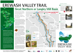 Great Northern or Langley Mill Basin