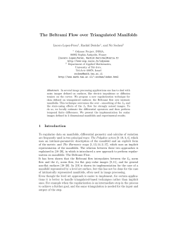The Beltrami Flow over Triangulated Manifolds