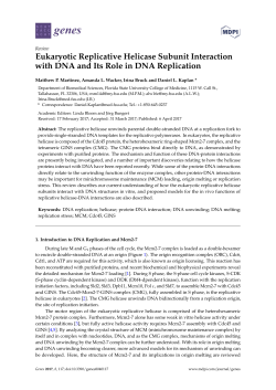 Eukaryotic Replicative Helicase Subunit Interaction with DNA and Its