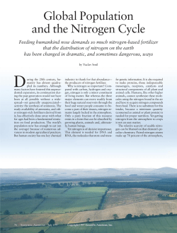Global Population and the Nitrogen Cycle