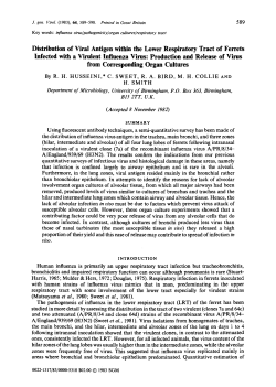 Distribution of Viral Antigen within the Lower Respiratory Tract of